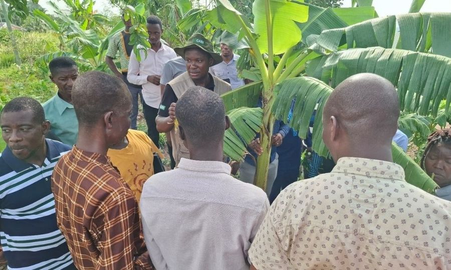 A plant doctor trains a group of farmers in the field